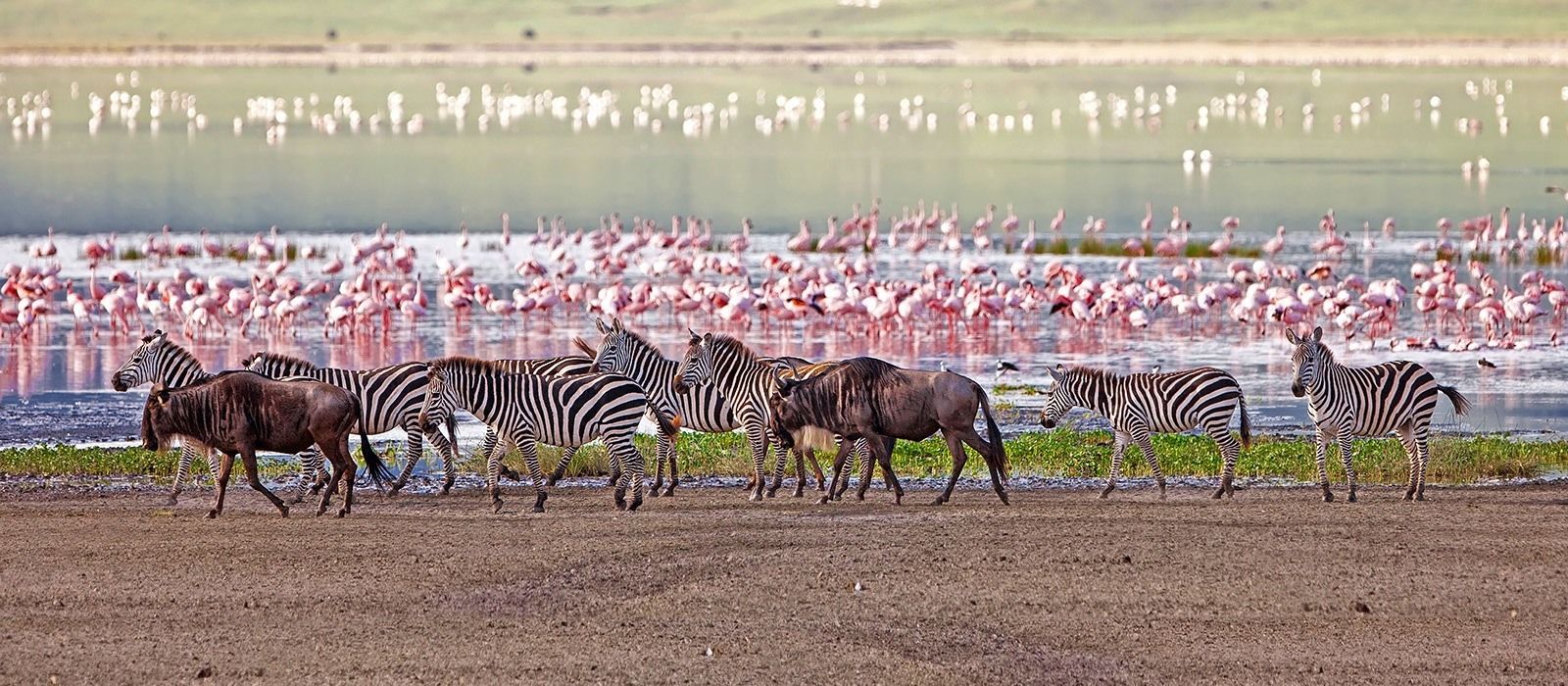 Manyara National Park