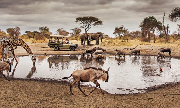 Arusha National Park